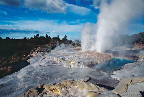 Rotorua geothermal system