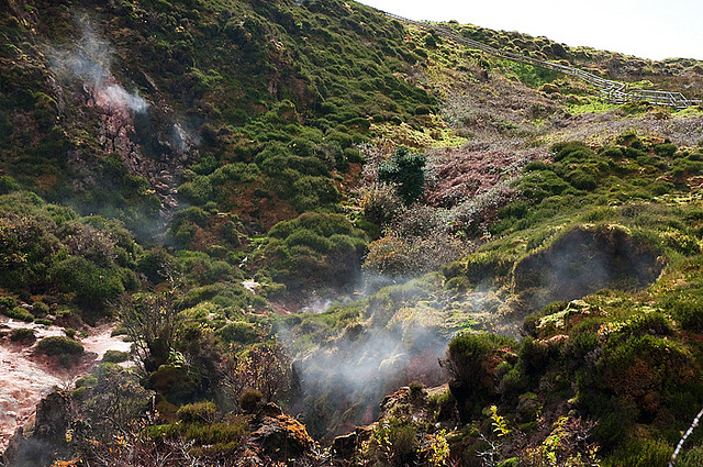 Furnas do Enxofre fumarolic field